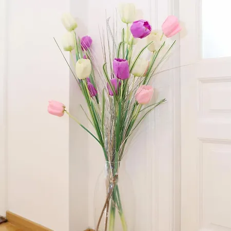 아파트 Spacious Zarita 자다르